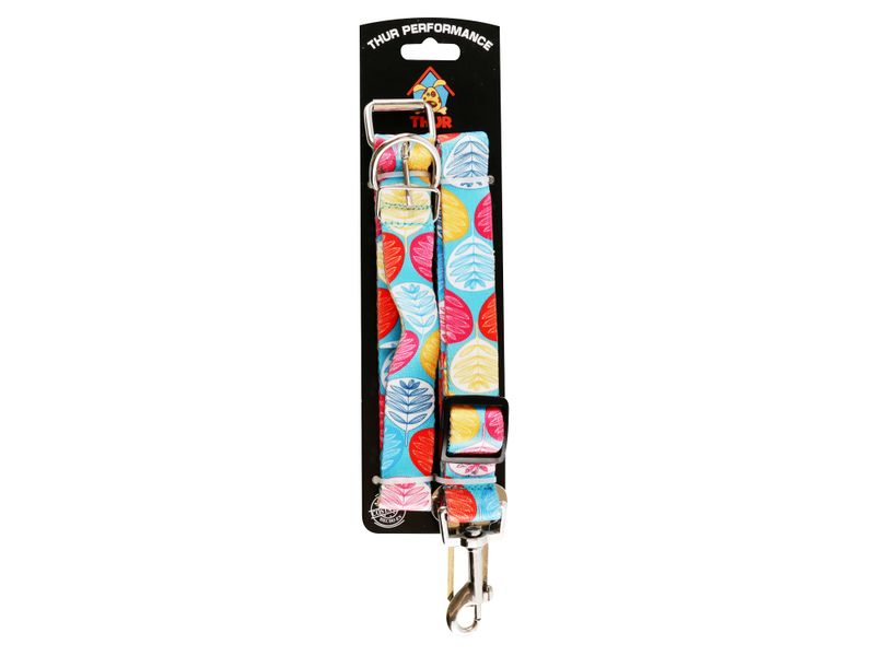 Juego-Correa-Collar-Mascota-Segurid-2U-2-94837