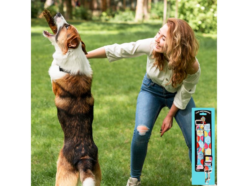 Juego-Correa-Collar-Mascota-Segurid-2U-5-94837