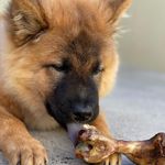 Snacks-Pork-Bone-Mas-Q-Pets-1U-Ea-5-100741