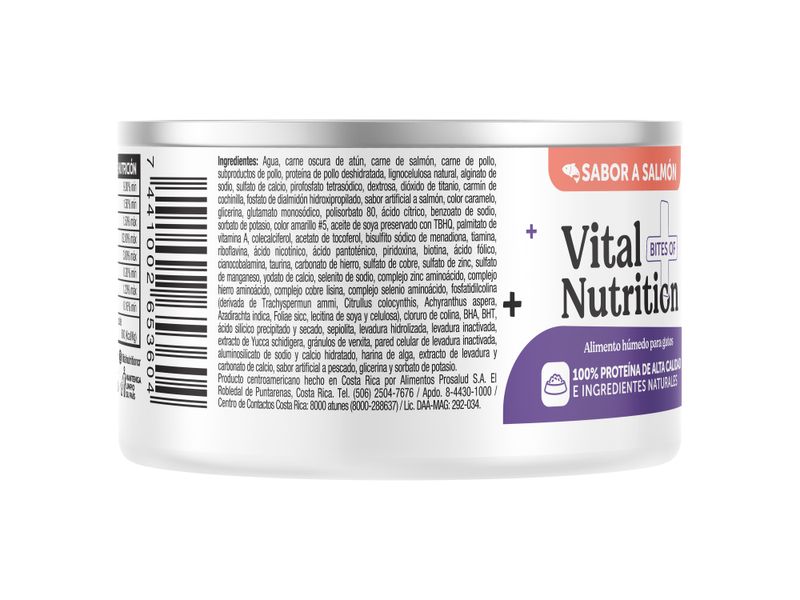 Alimento-H-medo-Vital-Nutrition-Para-Gato-Adulto-Sabor-Salm-n-Lata-85g-2-103074