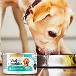 Alimento-H-medo-Vital-Nutrition-Para-Perro-Adulto-Sabor-Pollo-Lata-85g-7-103078