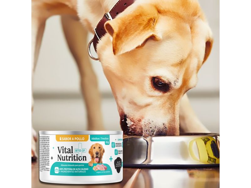 Alimento-H-medo-Vital-Nutrition-Para-Perro-Adulto-Sabor-Pollo-Lata-85g-7-103078