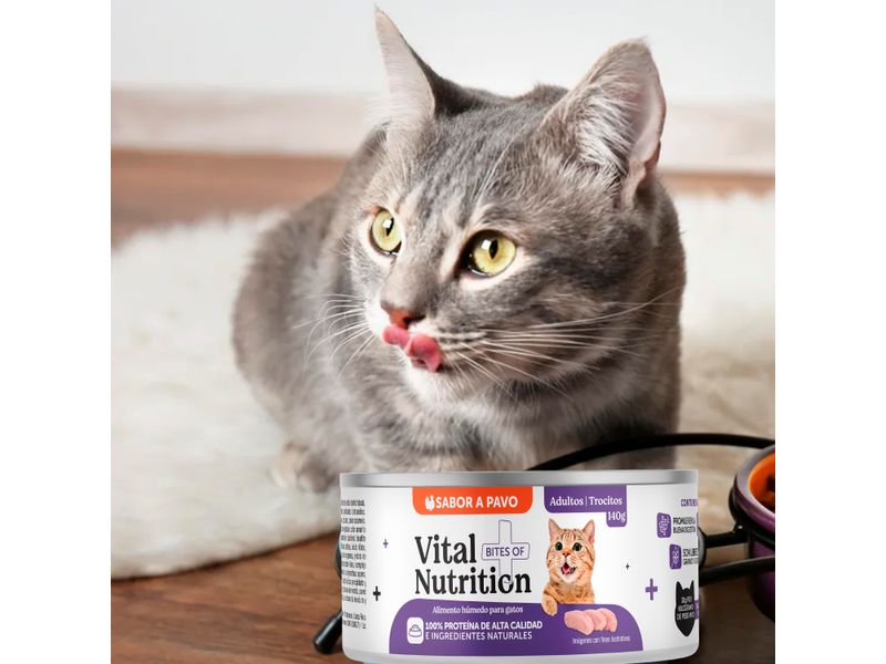 Alimento-H-medo-Vital-Nutrition-Para-Gato-Adulto-Sabor-Pavo-Lata-140g-8-103075