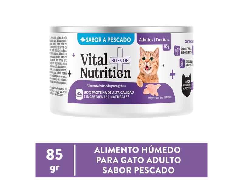 Alimento-H-medo-Vital-Nutrition-Para-Gato-Adulto-Sabor-Pescado-Lata-85g-1-103073