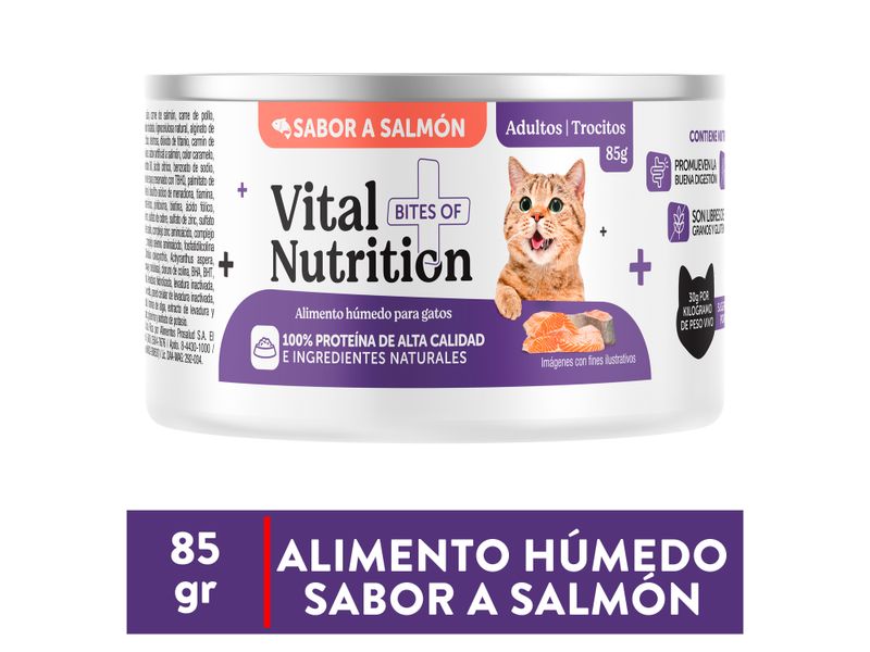 Alimento-H-medo-Vital-Nutrition-Para-Gato-Adulto-Sabor-Salm-n-Lata-85g-1-103074