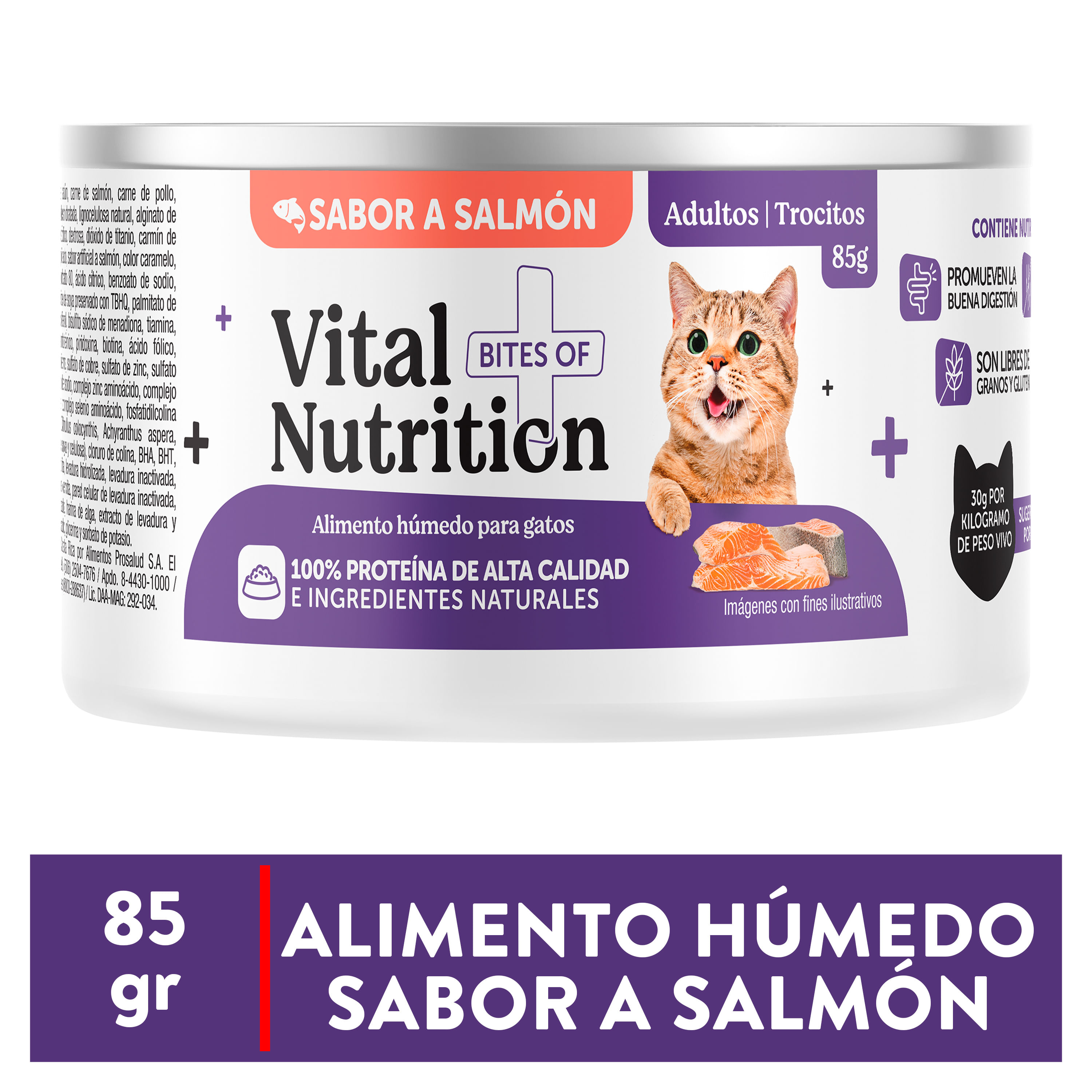 Alimento-H-medo-Vital-Nutrition-Para-Gato-Adulto-Sabor-Salm-n-Lata-85g-1-103074