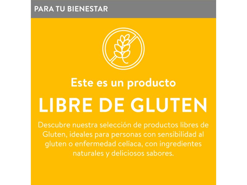 Premezcla-The-Gluten-Free-Factory-Para-Pancake-Libre-Gluten-540gr-8-29532