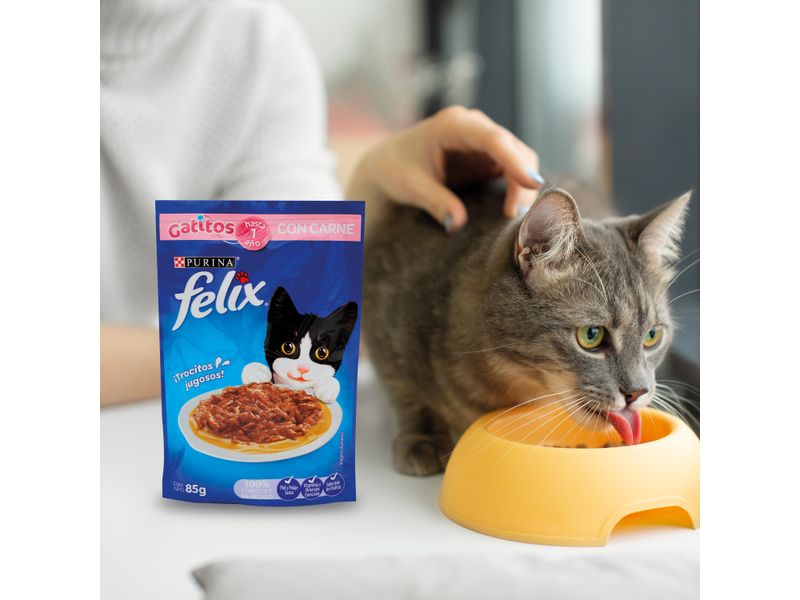 Alimento-H-medo-Gatito-Purina-Felix-Carne-85g-7-33427