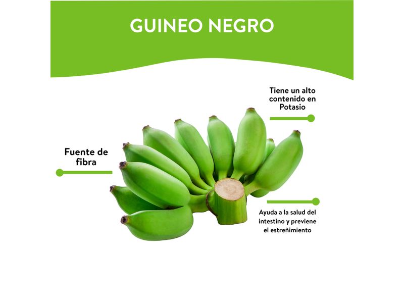 Guineo-Negro-1-Unidad-3-36897