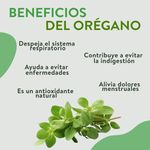 Oregano-Empacado-Bolsa-30gr-3-58187
