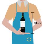 Vino-Tinto-Benjamin-Malbec-Argentino-750ml-3-84320
