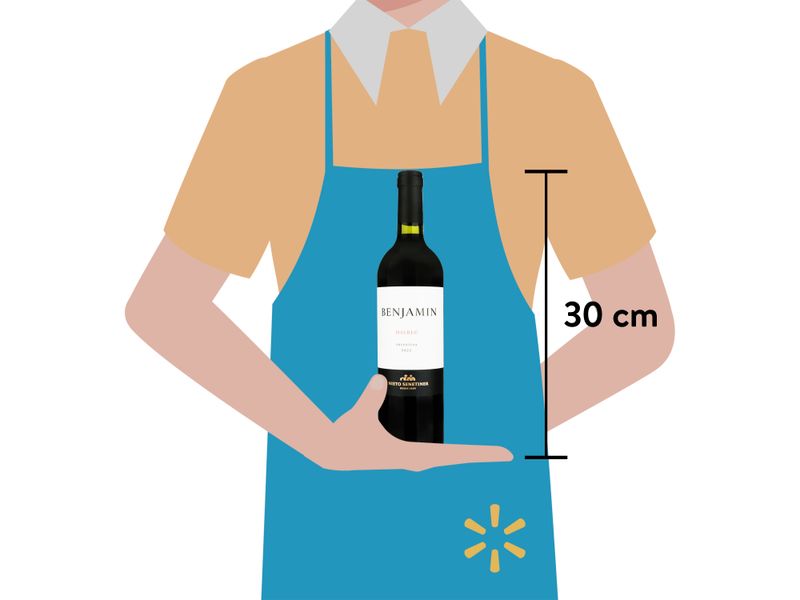 Vino-Tinto-Benjamin-Malbec-Argentino-750ml-3-84320