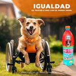 Limpiador-Desinfectante-Cloralex-Mascotas-Exteriores-Botella-950Ml-4-28784