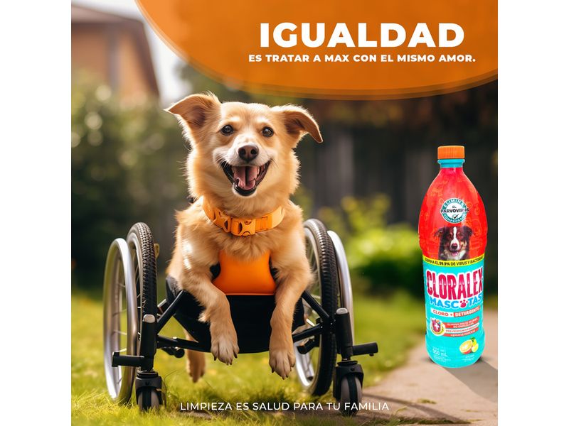 Limpiador-Desinfectante-Cloralex-Mascotas-Exteriores-Botella-950Ml-4-28784