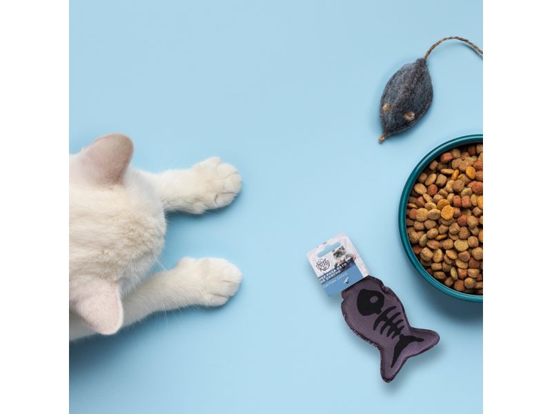 Pez-Special-Kitty-Para-Gato-4-77736