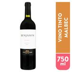 Vino-Tinto-Benjamin-Malbec-Argentino-750ml-1-84320