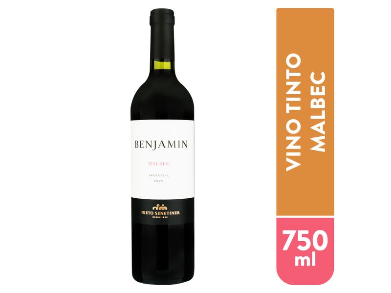 Vino-Tinto-Benjamin-Malbec-Argentino-750ml-1-84320
