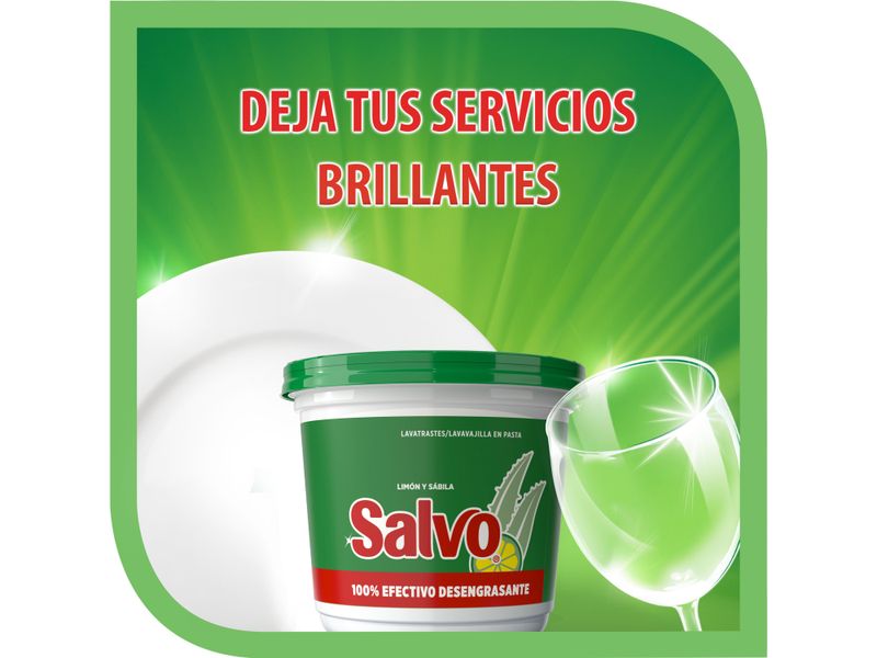 Lavatrastes-en-Pasta-Salvo-Lim-n-y-S-bila-800g-5-76751