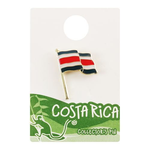 Pin Metalico Ecologico Bandera Con Asta