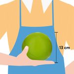 Pelotas-Ol-Roy-Con-Rebote-Para-Perro-3-77727