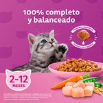 Alimento-Whiskas-Gatito-Pollo-1400Gr-7-67916