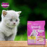 Alimento-Whiskas-Gatito-Pollo-1400Gr-12-67916