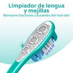 Cepillo-Dental-Colgate-360-Limpieza-Completa-3-Pack-4-33802