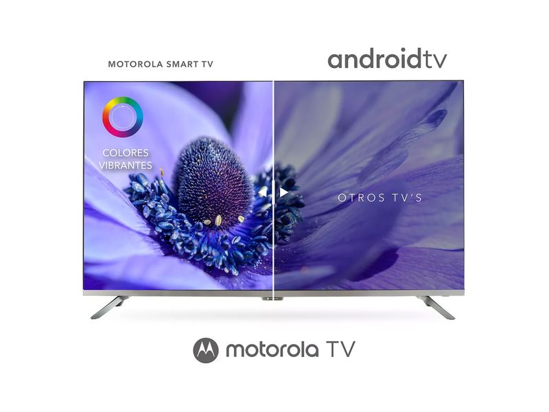 Pantalla-Motorola-55-Pulgadas-UHD-Google-2-103344