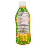 Bebida-Hidratante-Nikkos-Sabor-T-Verde-Con-Lim-n-500ml-2-103104