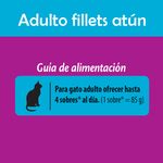 Alimento-Whiskas-Wet-At-n-Adulto-85gr-5-52267