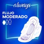 000000000070242966-UN-04