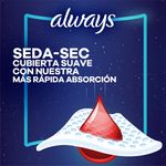 Always-Seda-Flujo-Super-Abundante-42ea-7-101781