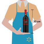Vino-Tinto-La-Planta-Botella-750ml-3-47258