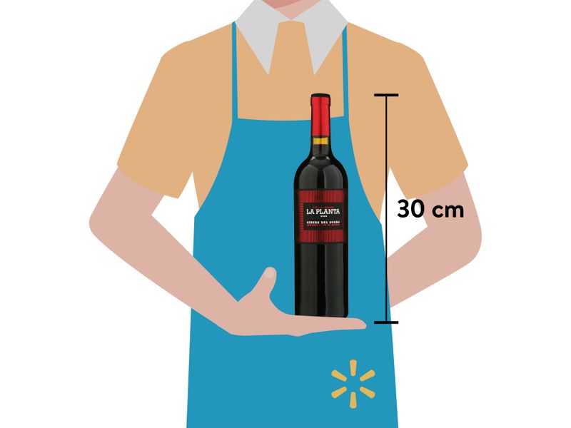 Vino-Tinto-La-Planta-Botella-750ml-3-47258