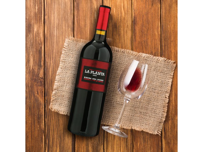 Vino-Tinto-La-Planta-Botella-750ml-4-47258