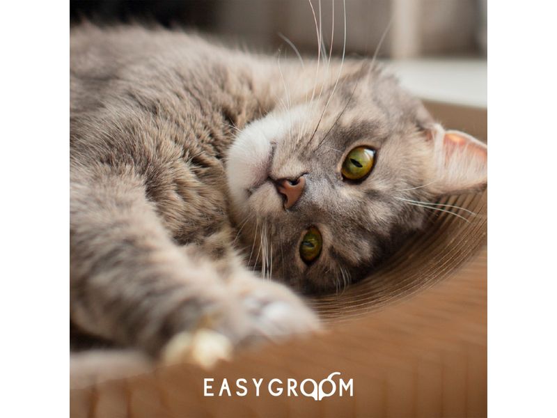 Champu-Easygroom-Gato-Antilagri-Pa-400Ml-6-46009