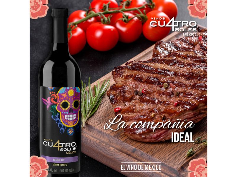 Vino-Tinto-Cuatro-Soles-Merlot-750ml-5-87478