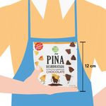 Pina-Deshidratada-50gr-4-101838