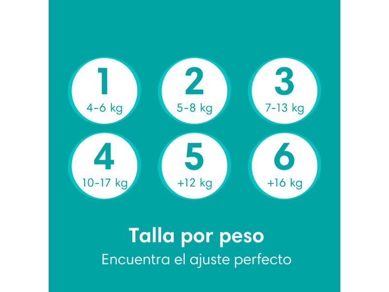 Pa-ales-Pampers-Baby-Dry-Talla-4-9-13kg-46uds-3-28968