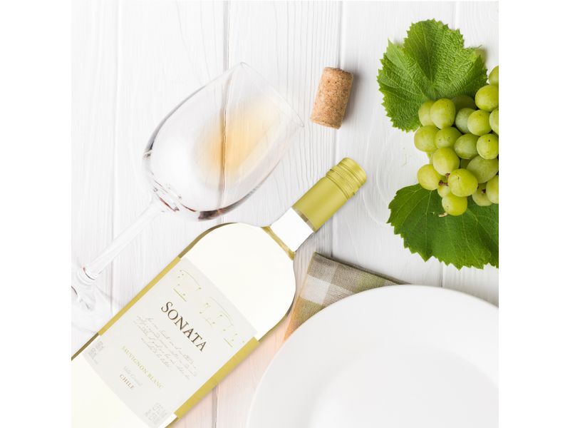 Vino-Sonata-Chileno-Blanco-Sauvignon-1500ml-4-26565