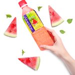 Aloevine-Aloe-Sabor-Sandia-500ml-6-105211