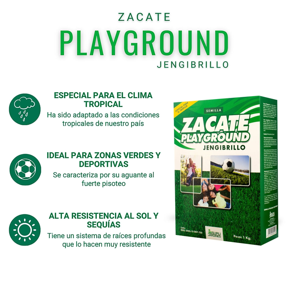comprar-semillas-de-zacate-playground-supli-jardines-jegibrillo