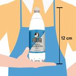 Agua-Carbonatada-Polar-Club-Soda-Mixers-Regular-1000ml-4-87438