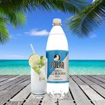 Agua-Carbonatada-Polar-Club-Soda-Mixers-Regular-1000ml-5-87438