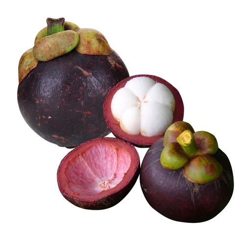Mangostan Unidad