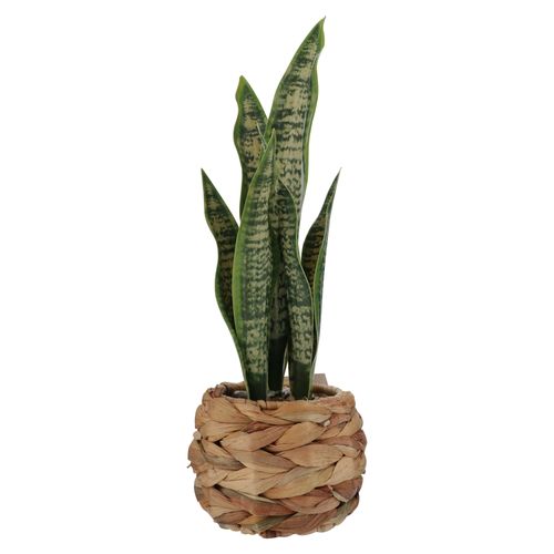 Ms Planta Artificial Maceta Mimbre 34cm