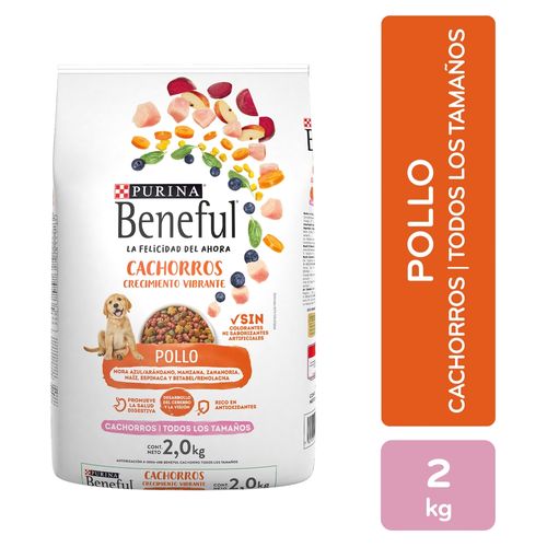 Alimento Perro Cachorro Purina Beneful Crecimiento Vibrante Pollo, Todos Los Tamaños 2kg