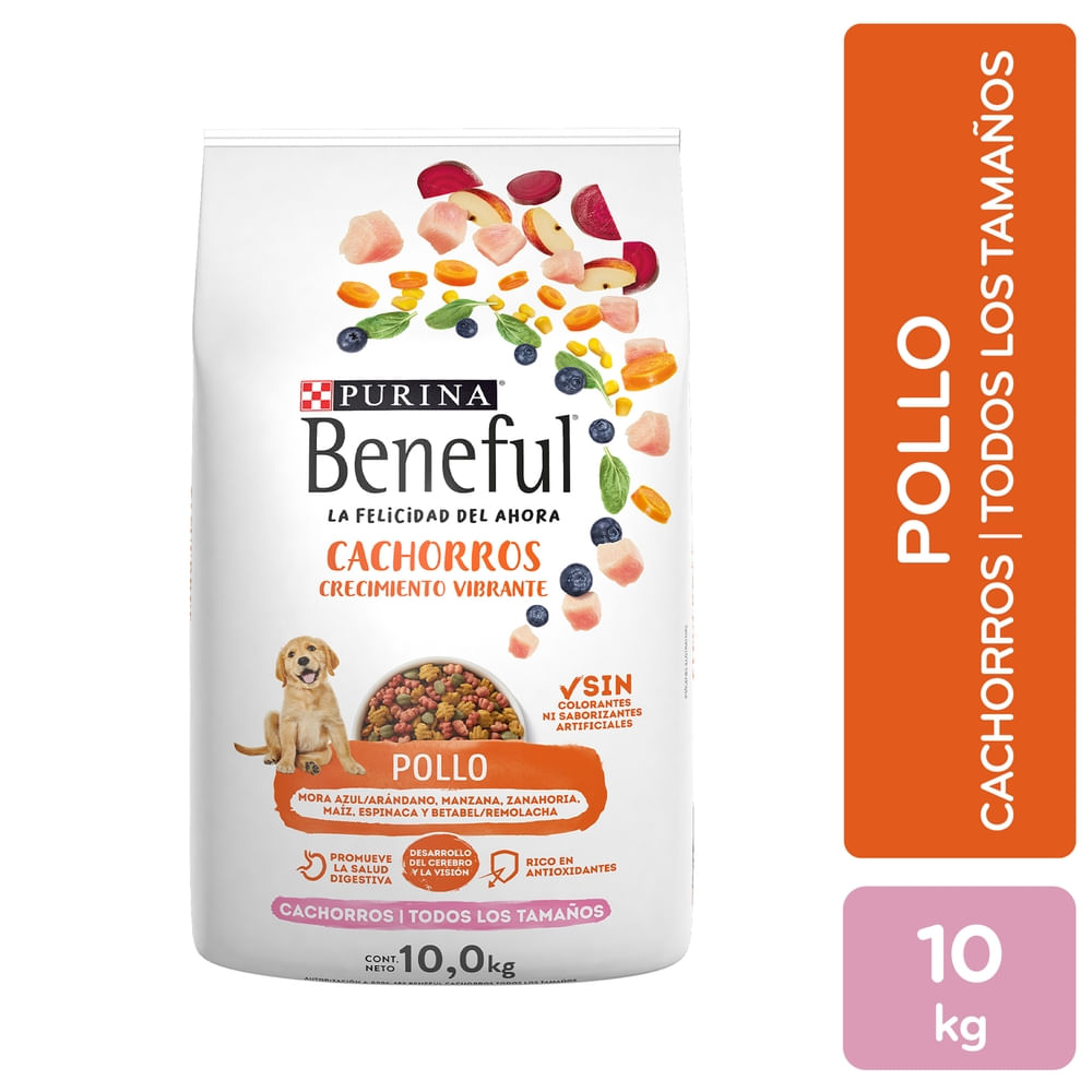 Beneful 10 kg best sale