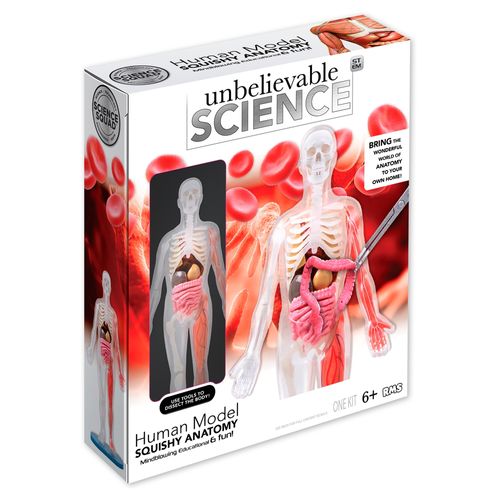Juego Anatomia Humana Squishy