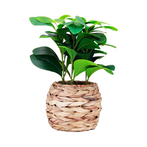 Ms Planta Artificial Maceta Mimbre 34cm